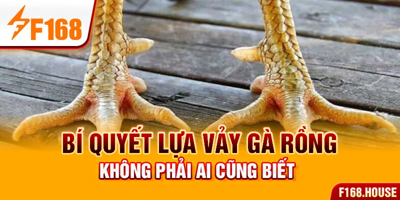 Bí quyết lựa vảy gà rồng không phải ai cũng biết