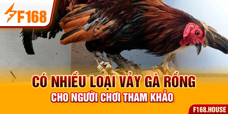 Có nhiều loại vảy gà rồng cho người chơi tham khảo