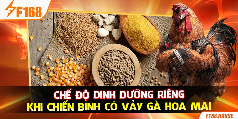 Chế độ dinh dưỡng riêng khi chiến binh có vảy gà hoa mai