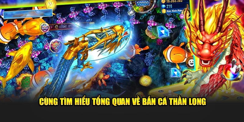 Cùng tìm hiểu tổng quan về bắn cá thần long