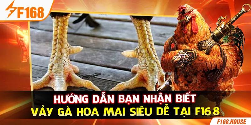 Hướng Dẫn Bạn Nhận Biết Vảy Gà Hoa Mai Siêu Dễ Tại F168