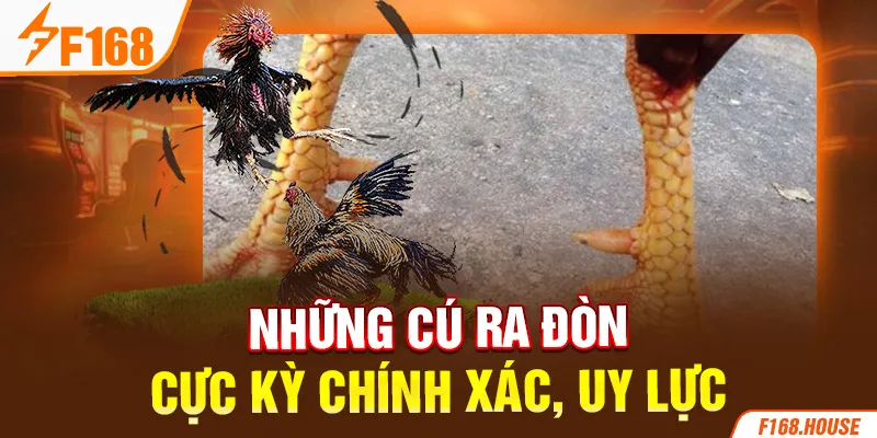 Những cú ra đòn cực kỳ chính xác, uy lực