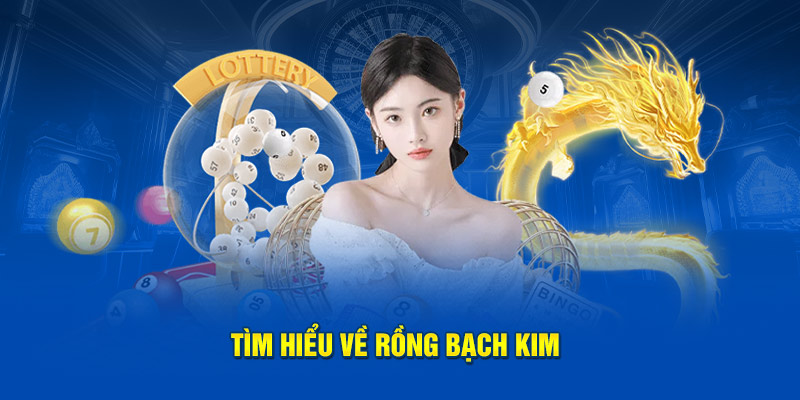 Tìm hiểu về rồng bạch kim