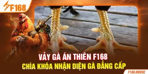 Vảy Gà Án Thiên F168 - Chìa Khóa Nhận Diện Gà Đẳng Cấp