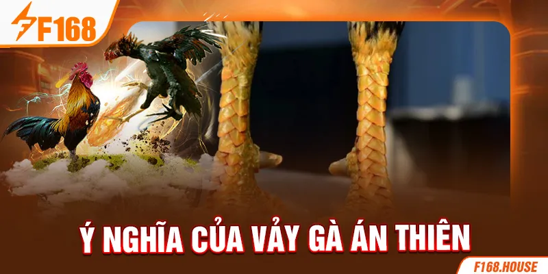 Ý nghĩa của vảy gà án thiên